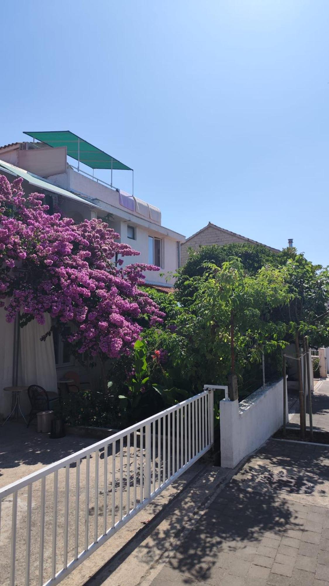 Apartments Suri Vodice Bagian luar foto